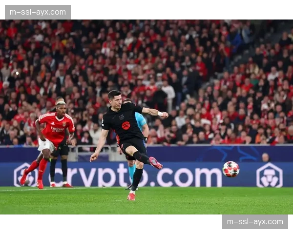 本菲卡凭借欧冠八强战绩，锁定下赛季欧足联俱乐部系数奖金排名前列